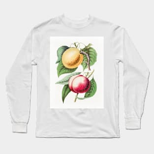 Hand drawn plum Long Sleeve T-Shirt